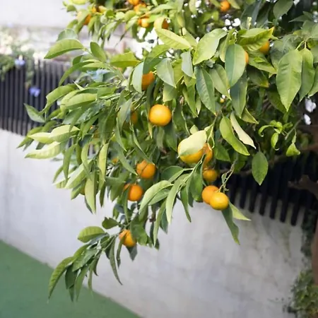 Charmante Maison De Village Clim Et Wifi